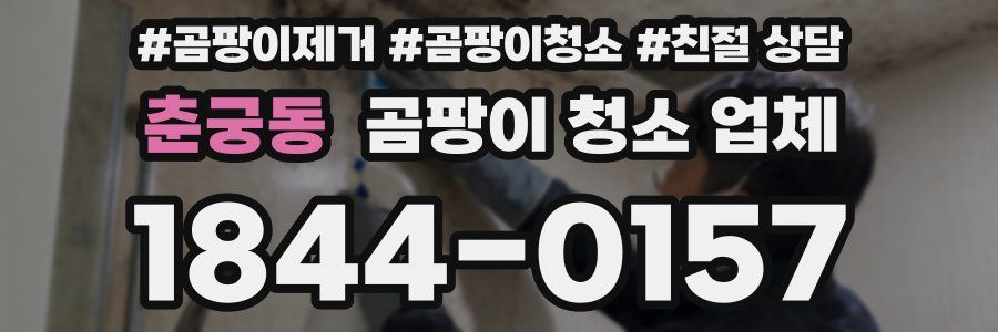 춘궁동 곰팡이 청소 업체