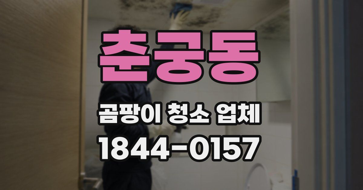 춘궁동 곰팡이 청소 업체