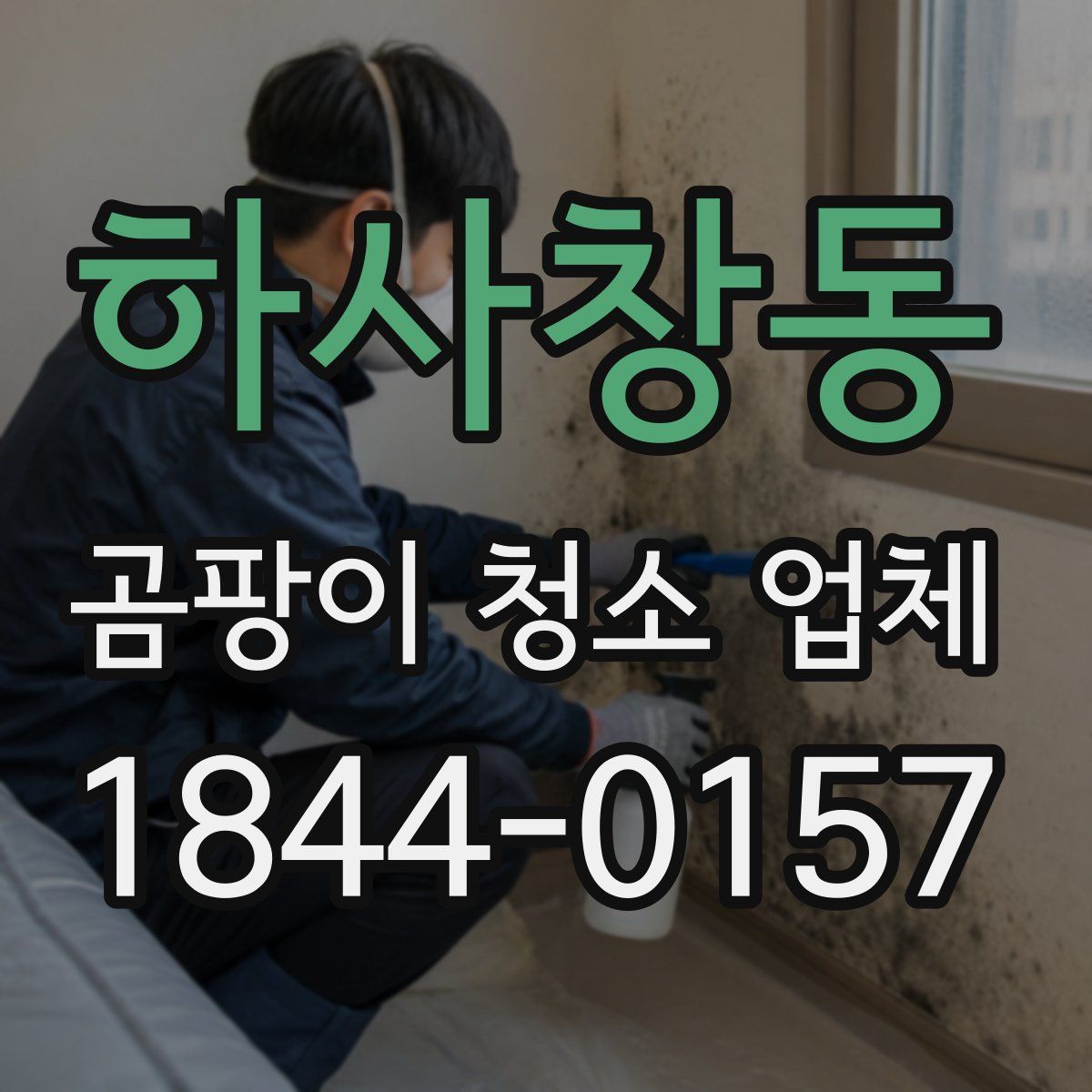 하사창동 곰팡이 청소 업체