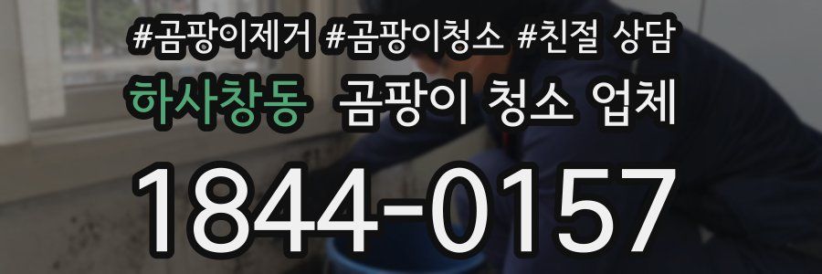 하사창동 곰팡이 청소 업체