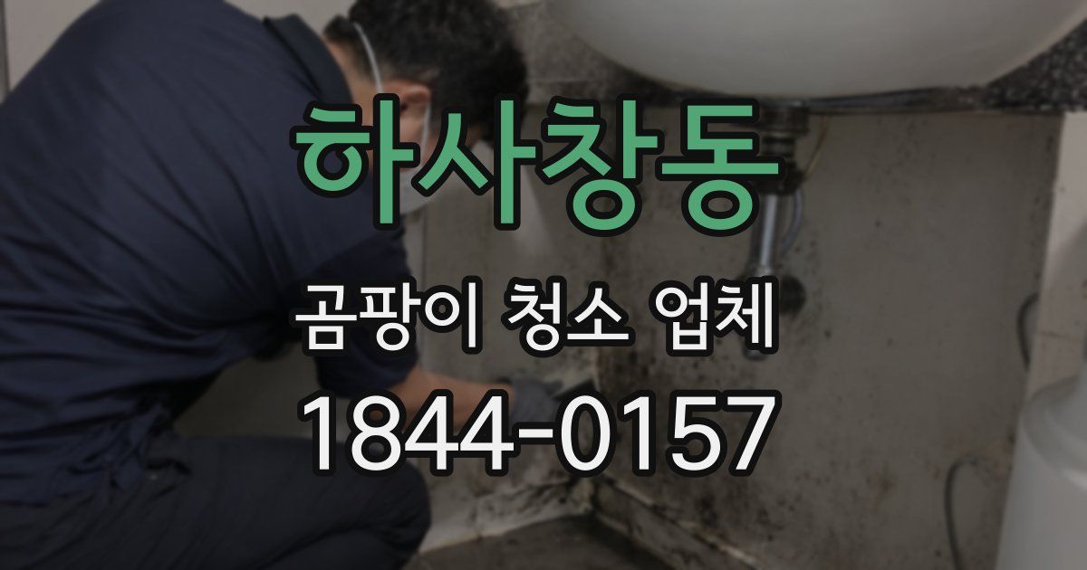 하사창동 곰팡이 청소 업체