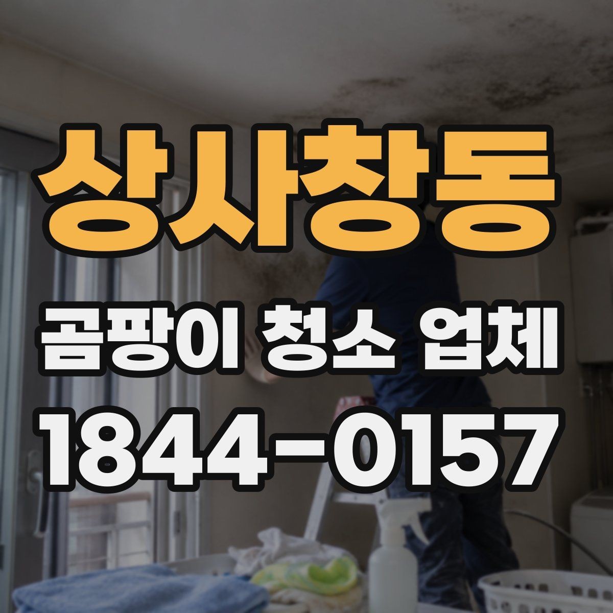 상사창동 곰팡이 청소 업체 찾을 때 주의할 점