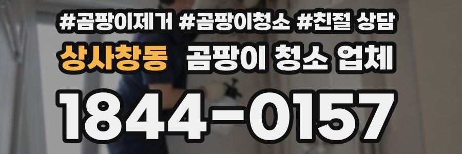 상사창동 곰팡이 청소 업체
