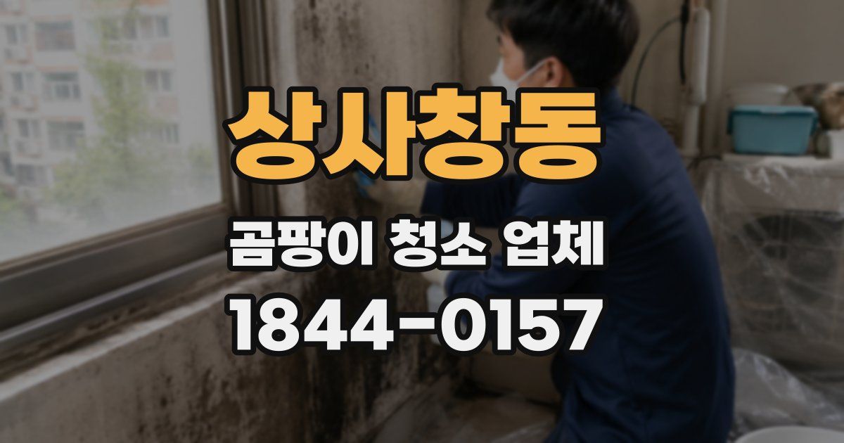 상사창동 곰팡이 청소 업체