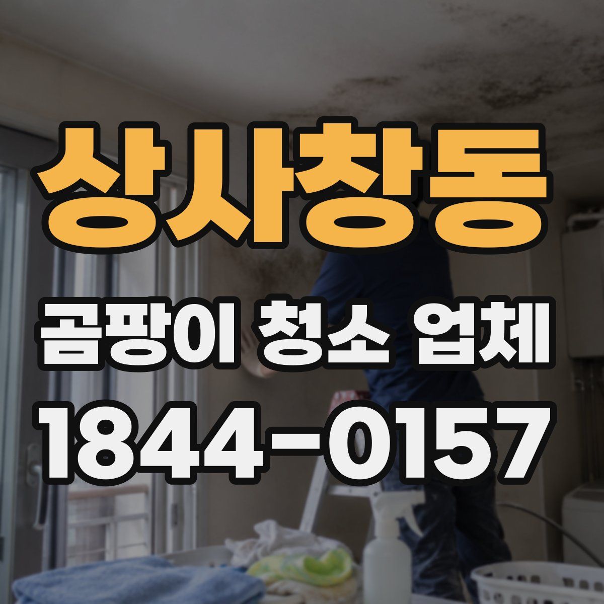 상사창동 곰팡이 청소 업체