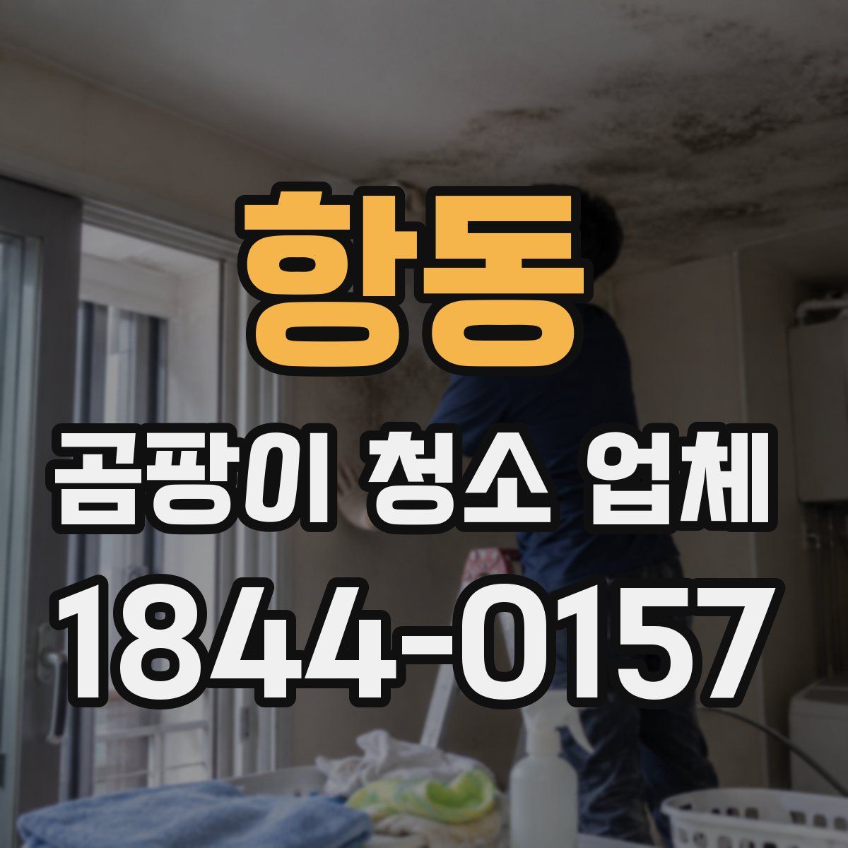 항동 곰팡이 청소 업체