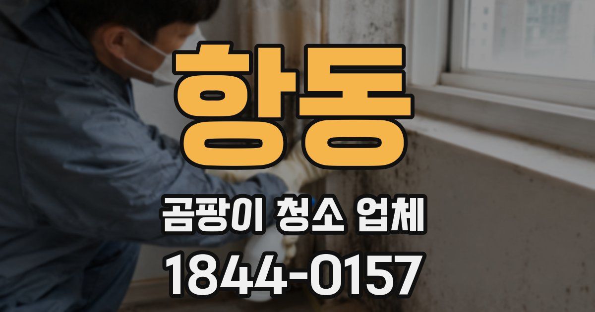 항동 곰팡이 청소 업체