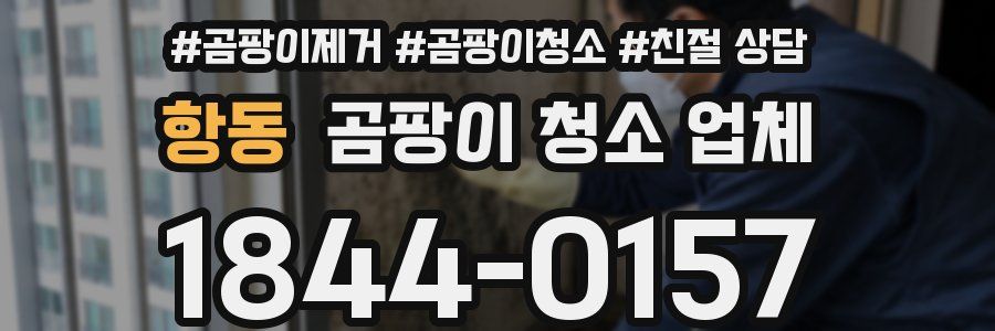 항동 곰팡이 청소 업체