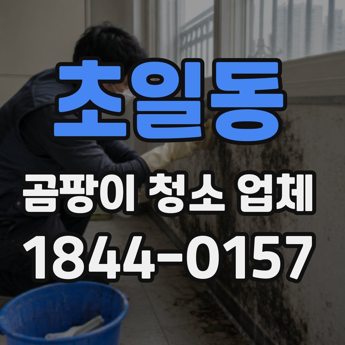 초일동 곰팡이 청소 업체