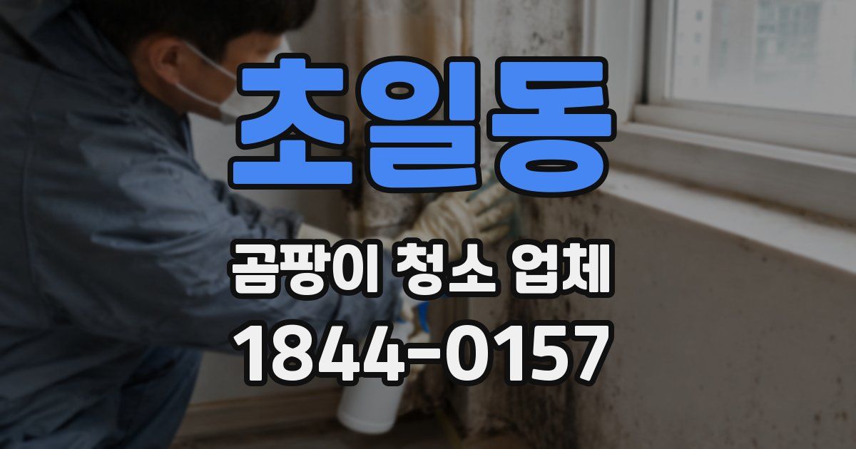 초일동 곰팡이 청소 업체