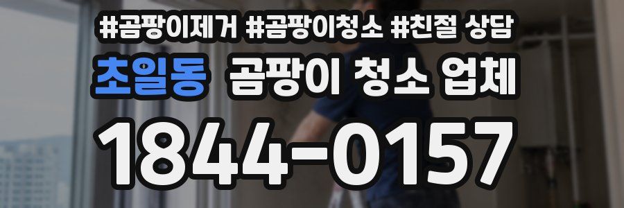 초일동 곰팡이 청소 업체