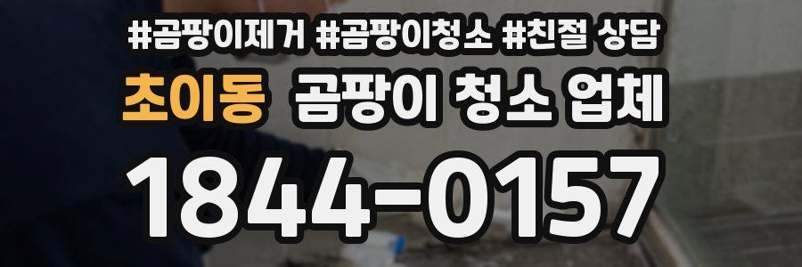 초이동 곰팡이 청소 업체