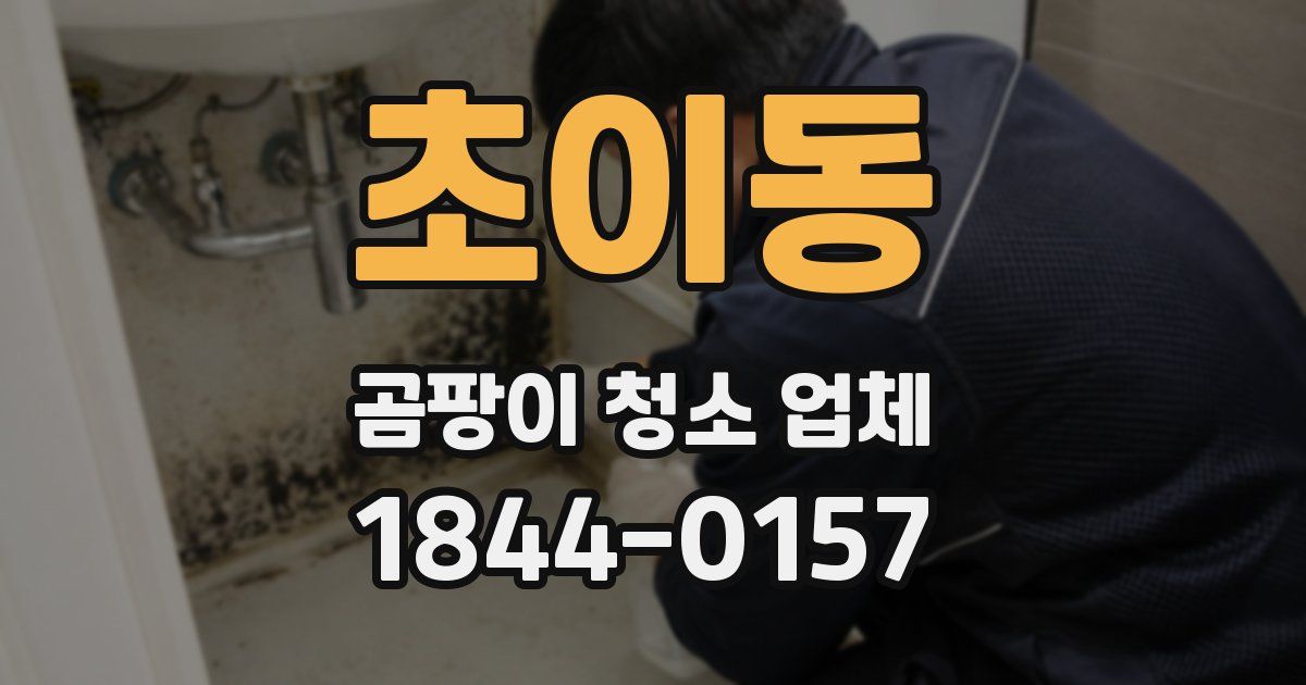 초이동 곰팡이 청소 업체