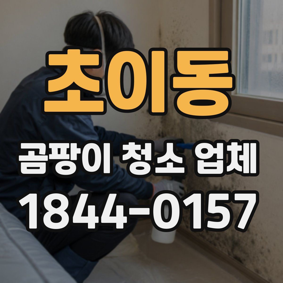 초이동 곰팡이 청소 업체