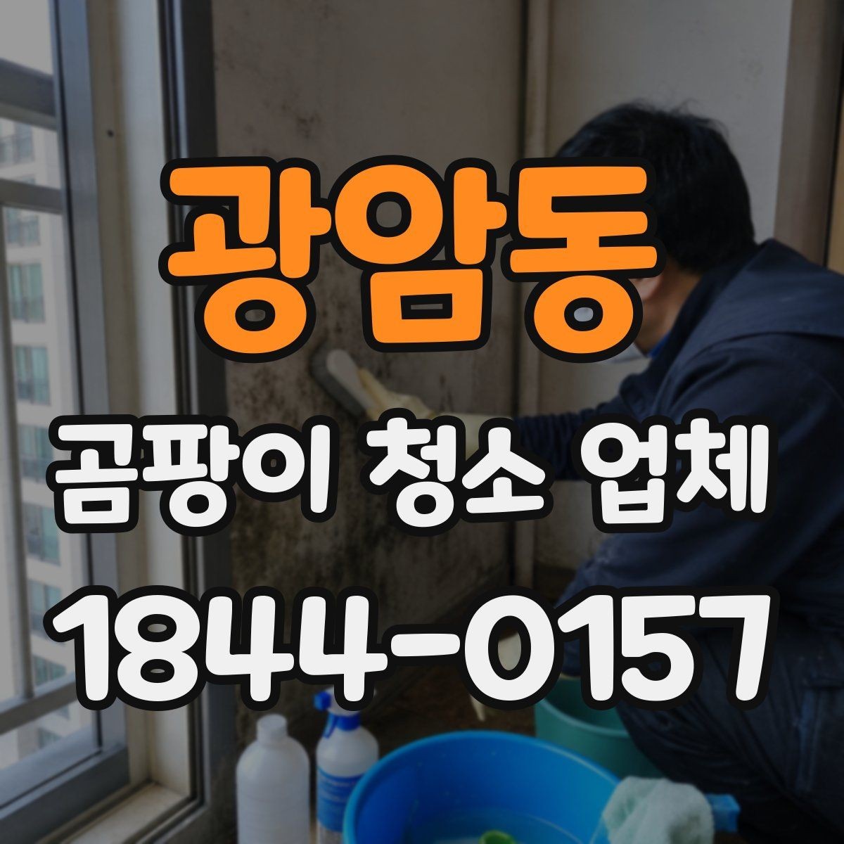 광암동 곰팡이 청소 업체 상담 결과를 비교하는 요령