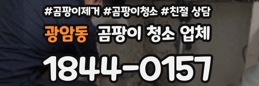 광암동 곰팡이 청소 업체