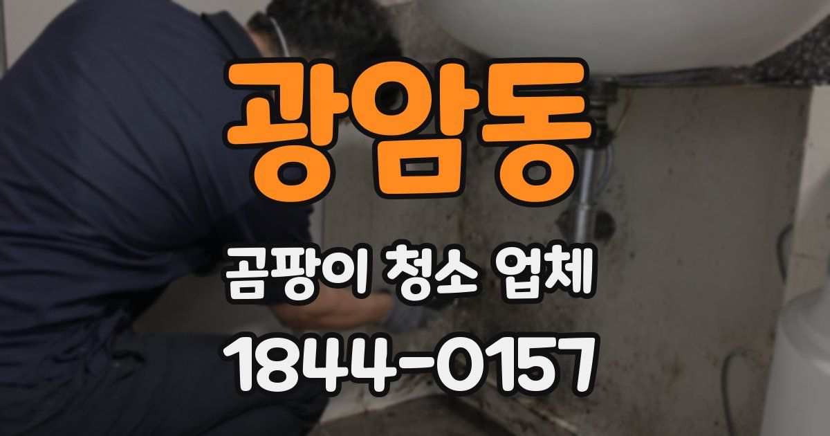 광암동 곰팡이 청소 업체