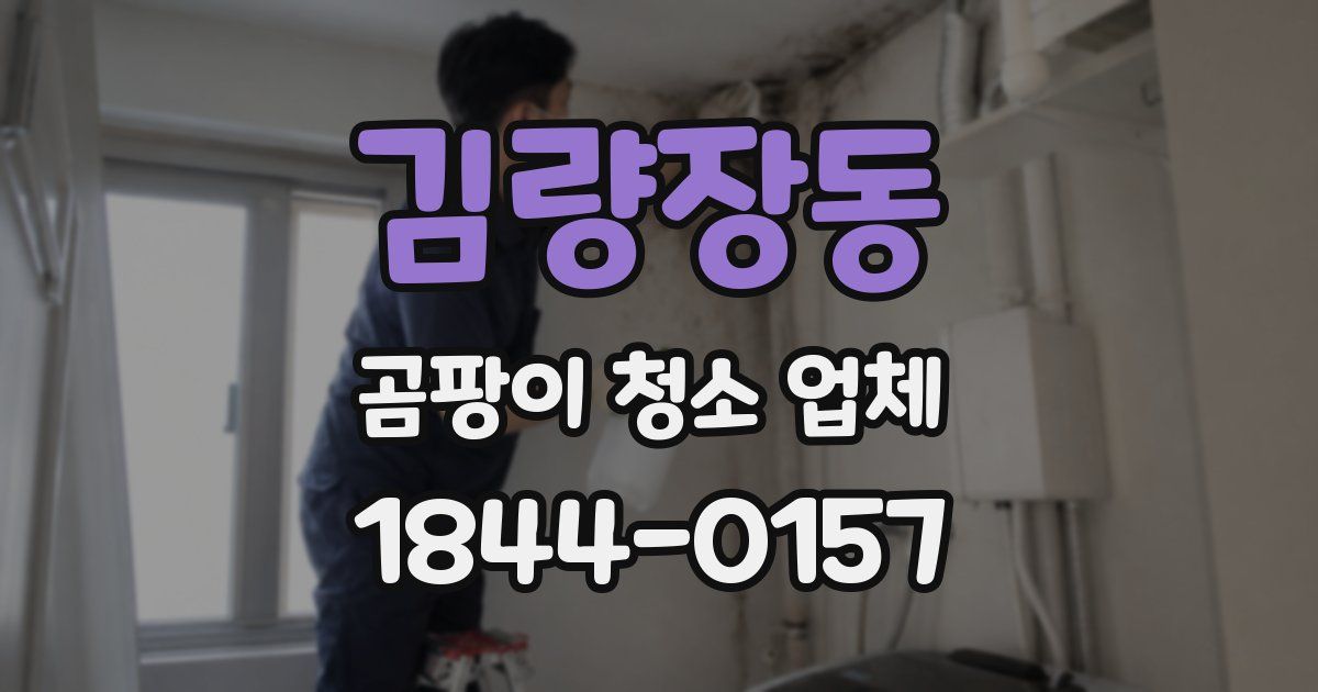 김량장동 곰팡이 청소 업체
