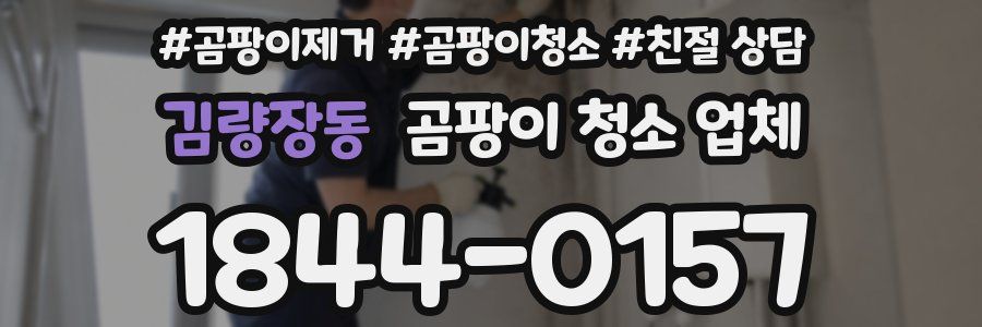 김량장동 곰팡이 청소 업체