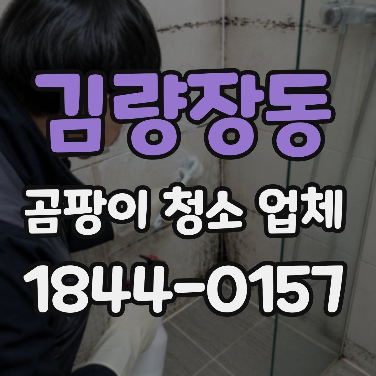 김량장동 곰팡이 청소 업체