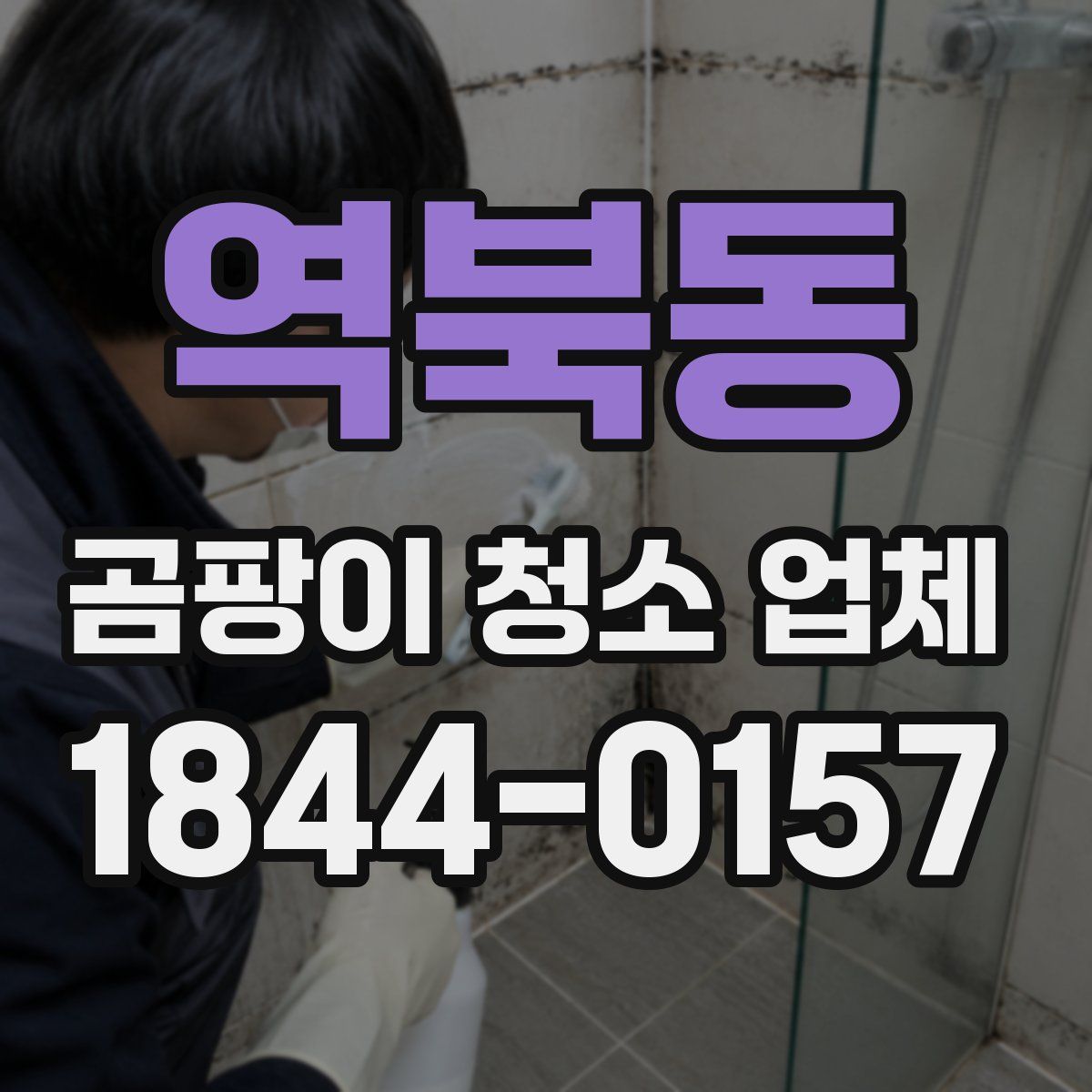 역북동 곰팡이 청소 업체