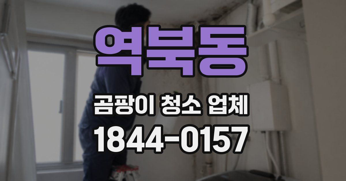 역북동 곰팡이 청소 업체