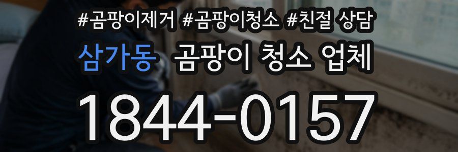삼가동 곰팡이 청소 업체
