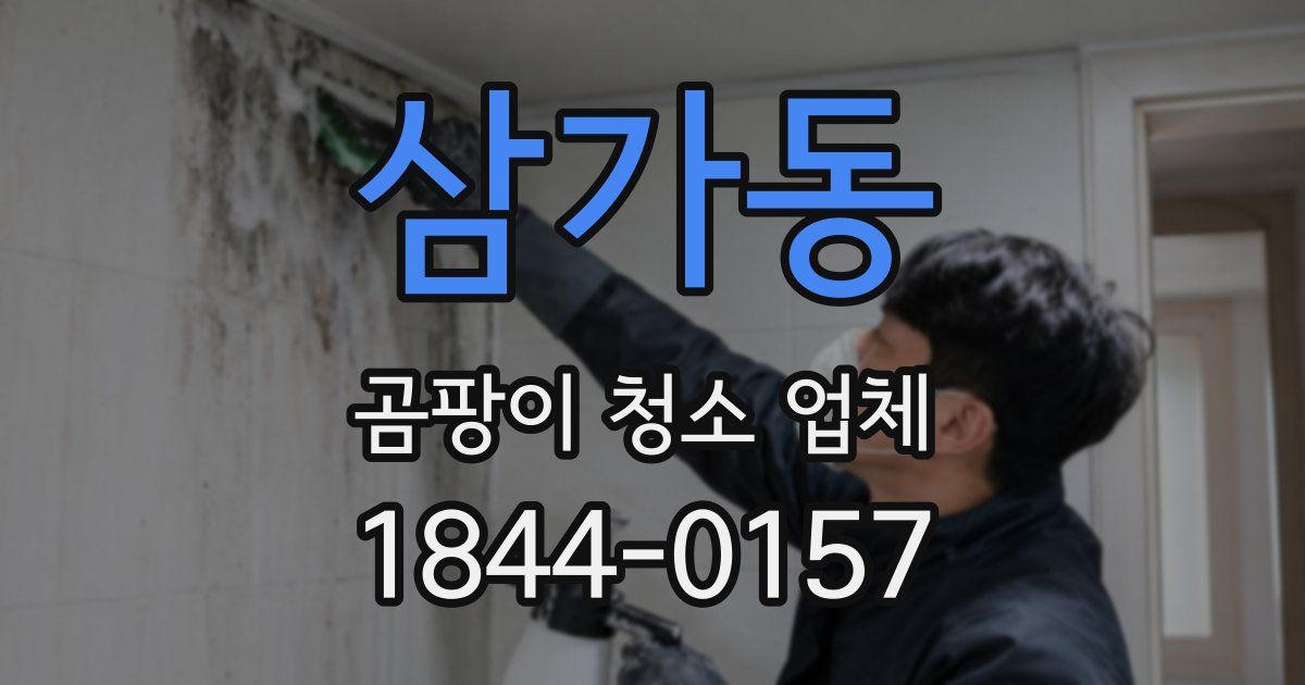 삼가동 곰팡이 청소 업체