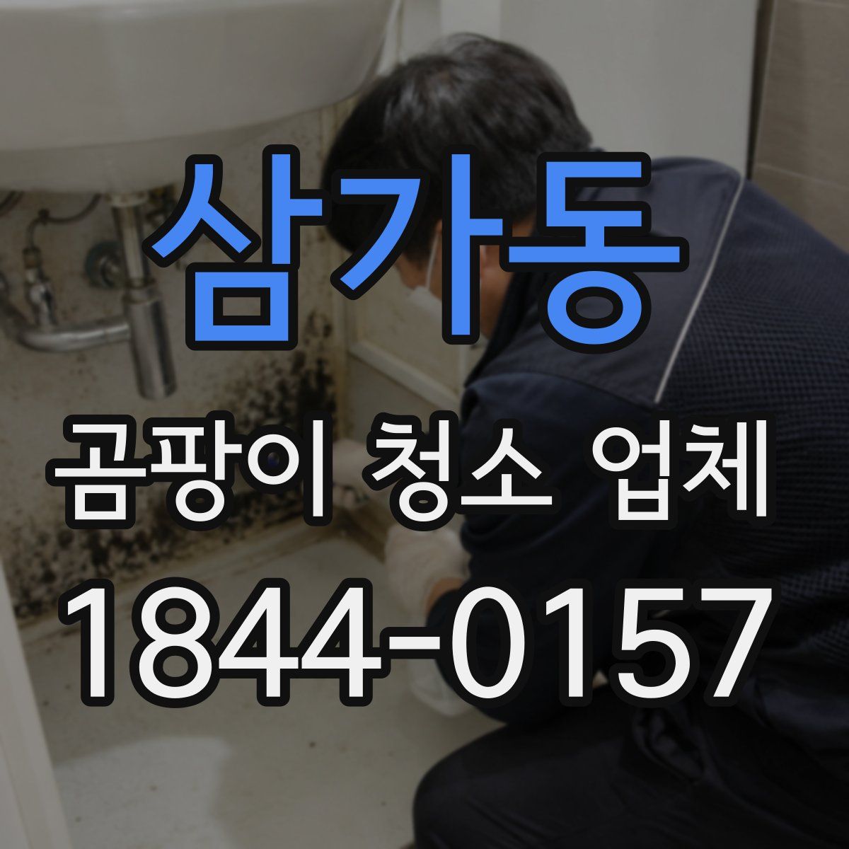 삼가동 곰팡이 청소 업체
