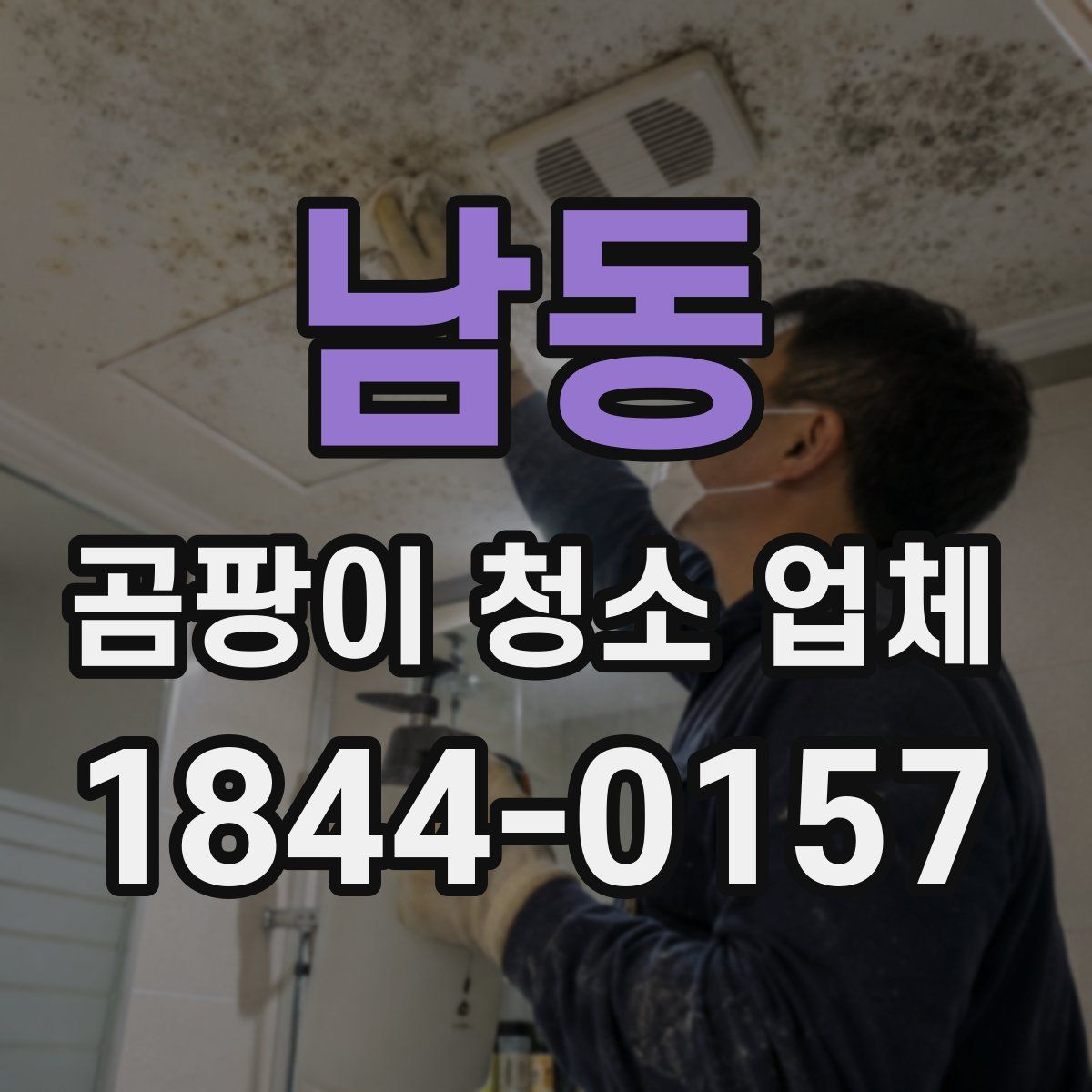 남동 곰팡이 청소 업체