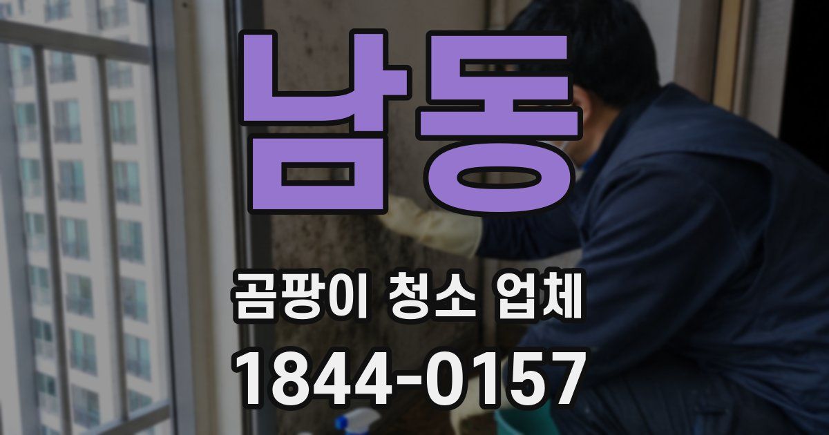 남동 곰팡이 청소 업체