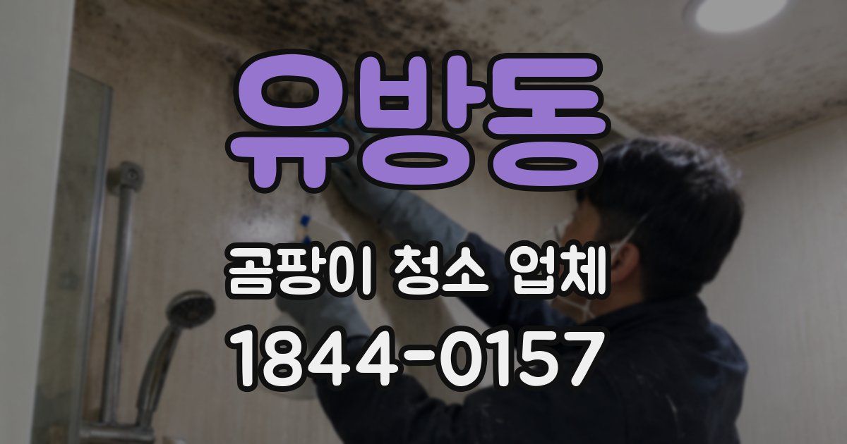 유방동 곰팡이 청소 업체