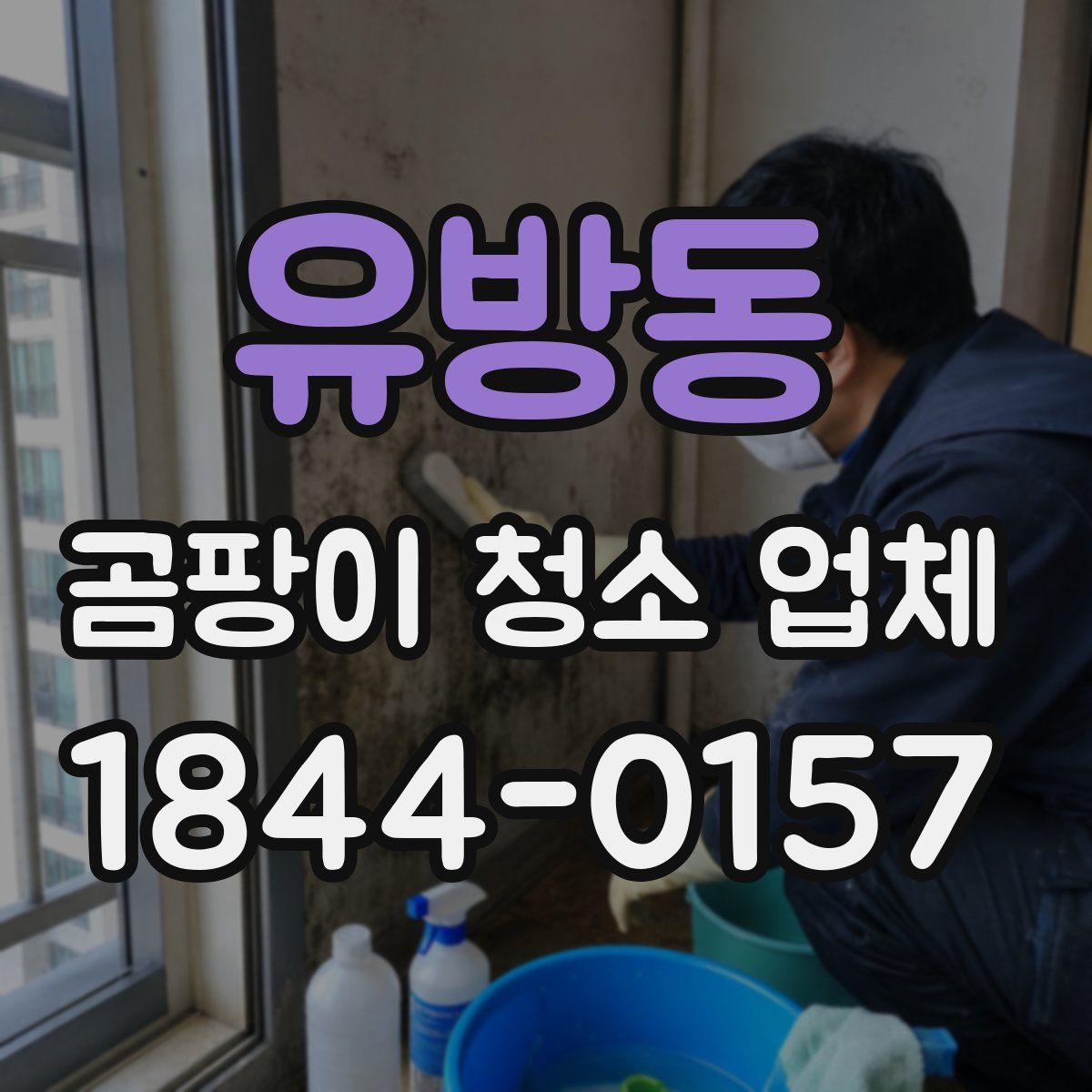 유방동 곰팡이 청소 업체