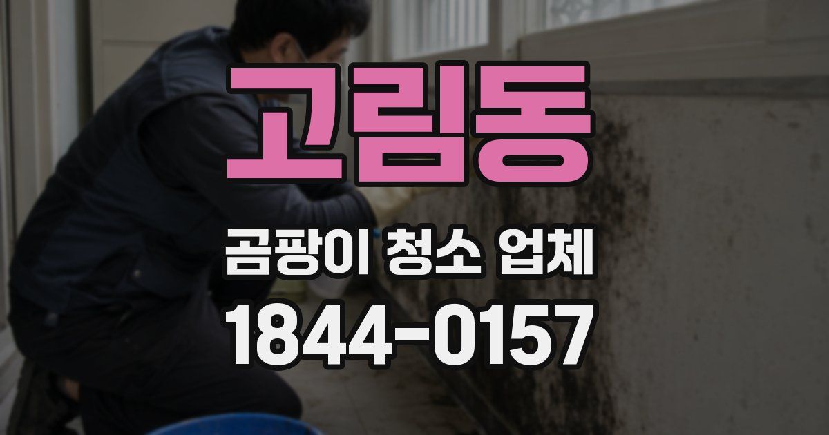 고림동 곰팡이 청소 업체