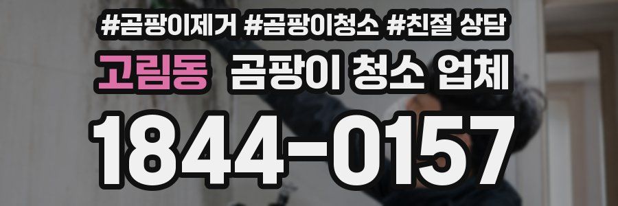고림동 곰팡이 청소 업체