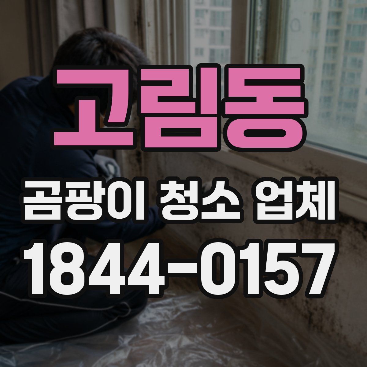 고림동 곰팡이 청소 업체