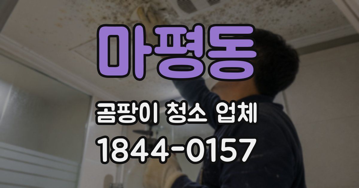 마평동 곰팡이 청소 업체