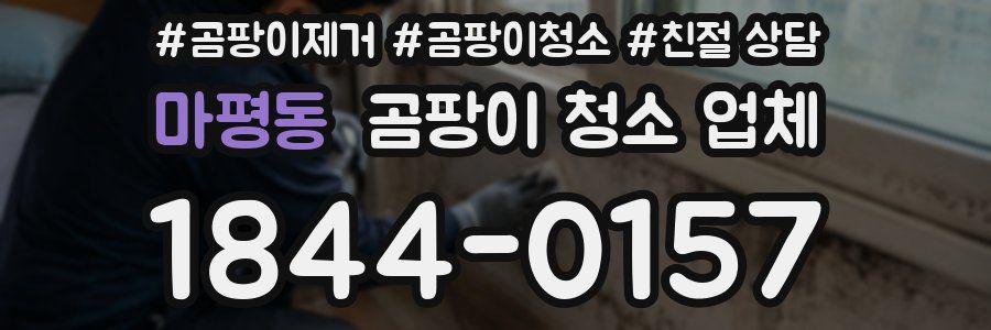 마평동 곰팡이 청소 업체