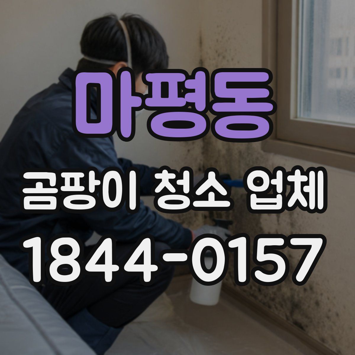 마평동 곰팡이 청소 업체