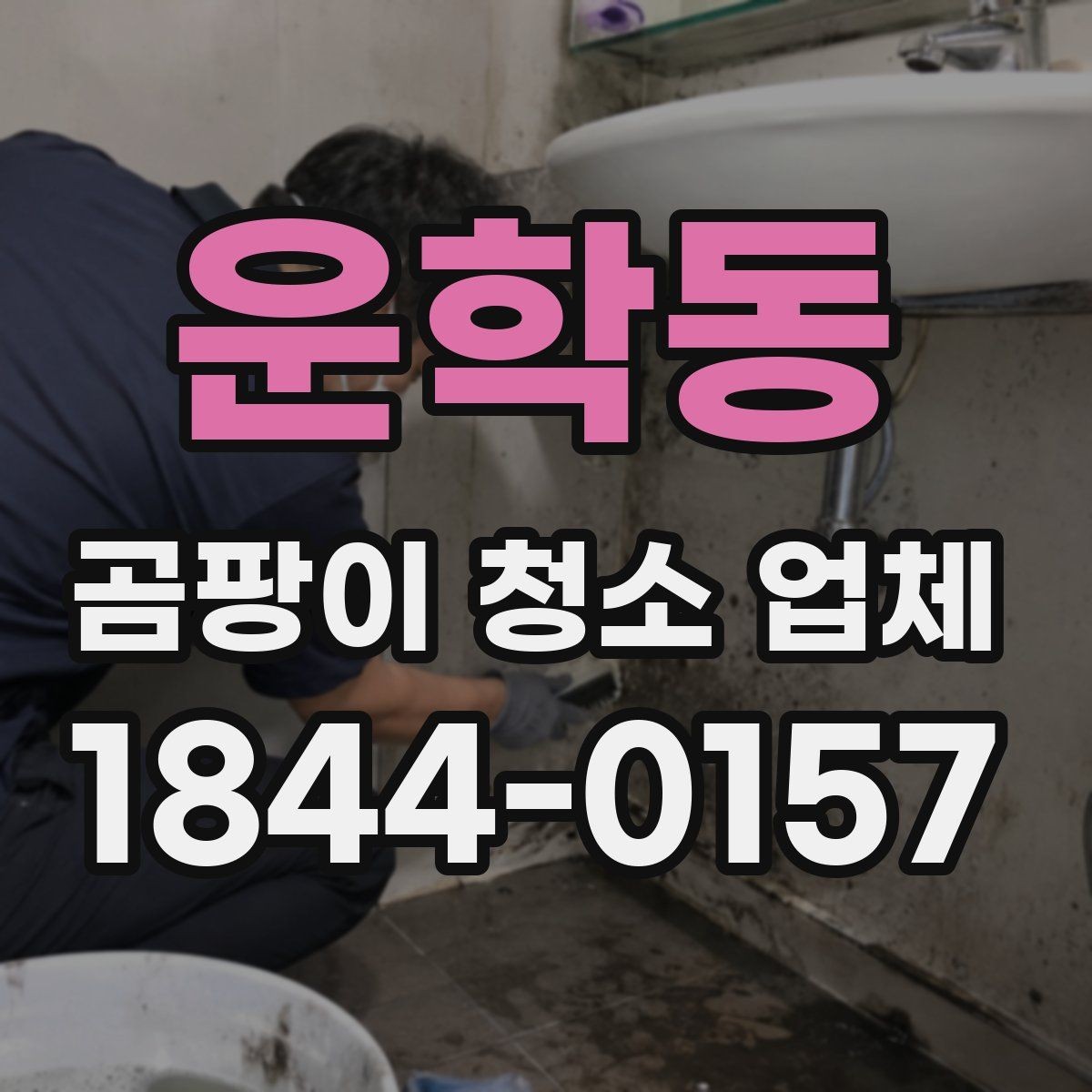운학동 곰팡이 청소 업체 예약 후 준비해야 할 사항
