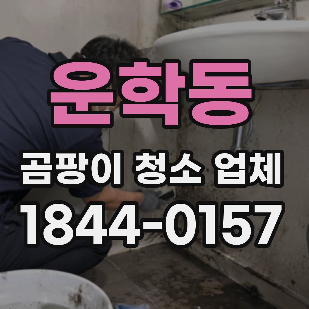 운학동 곰팡이 청소 업체
