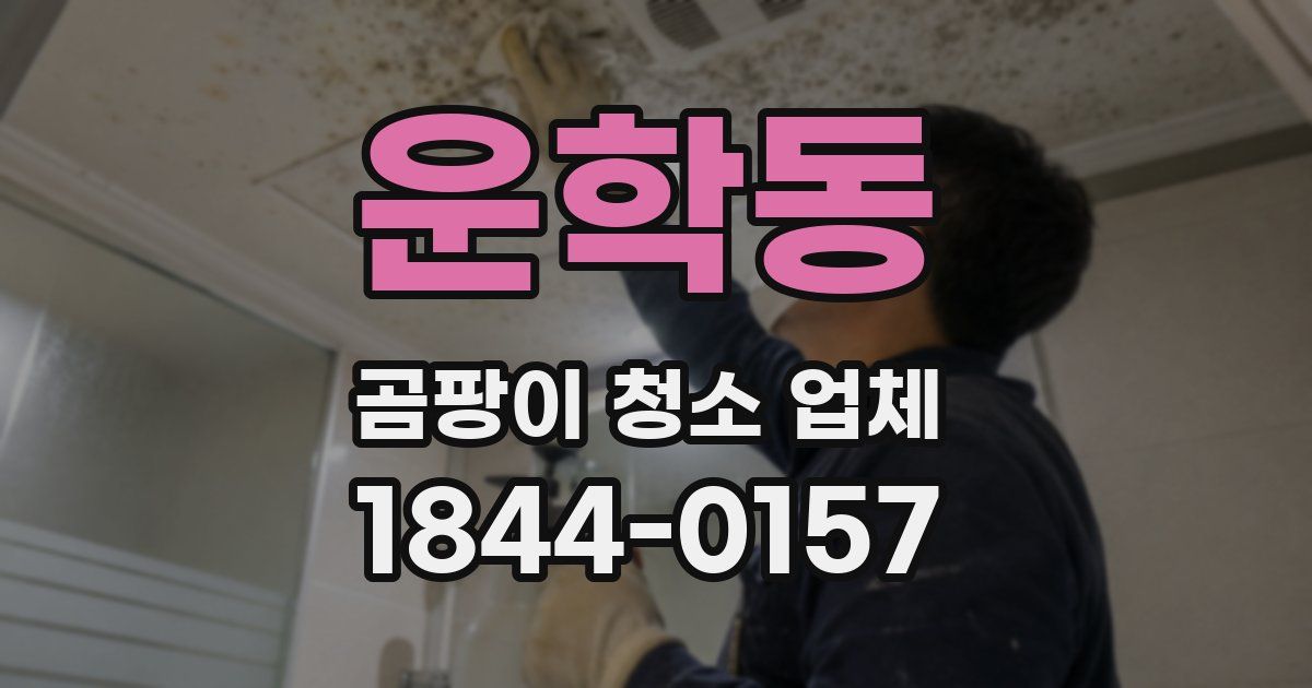 운학동 곰팡이 청소 업체