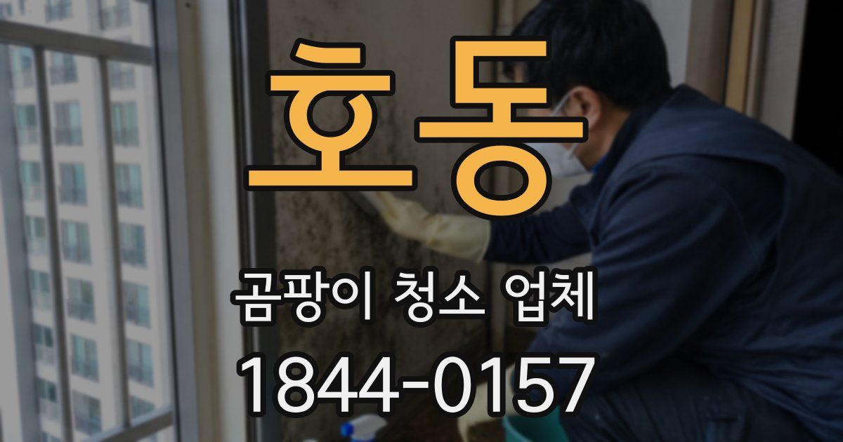 호동 곰팡이 청소 업체