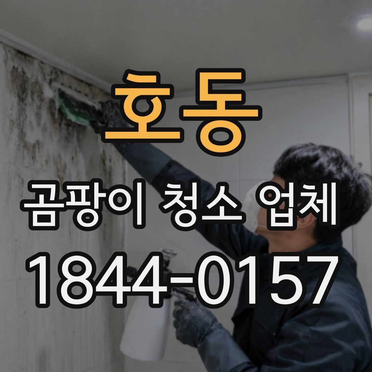 호동 곰팡이 청소 업체