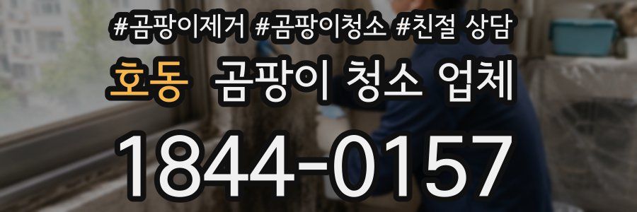 호동 곰팡이 청소 업체