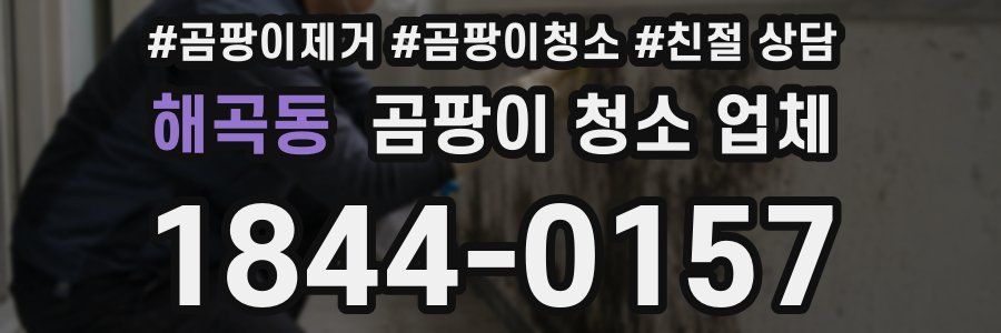 해곡동 곰팡이 청소 업체