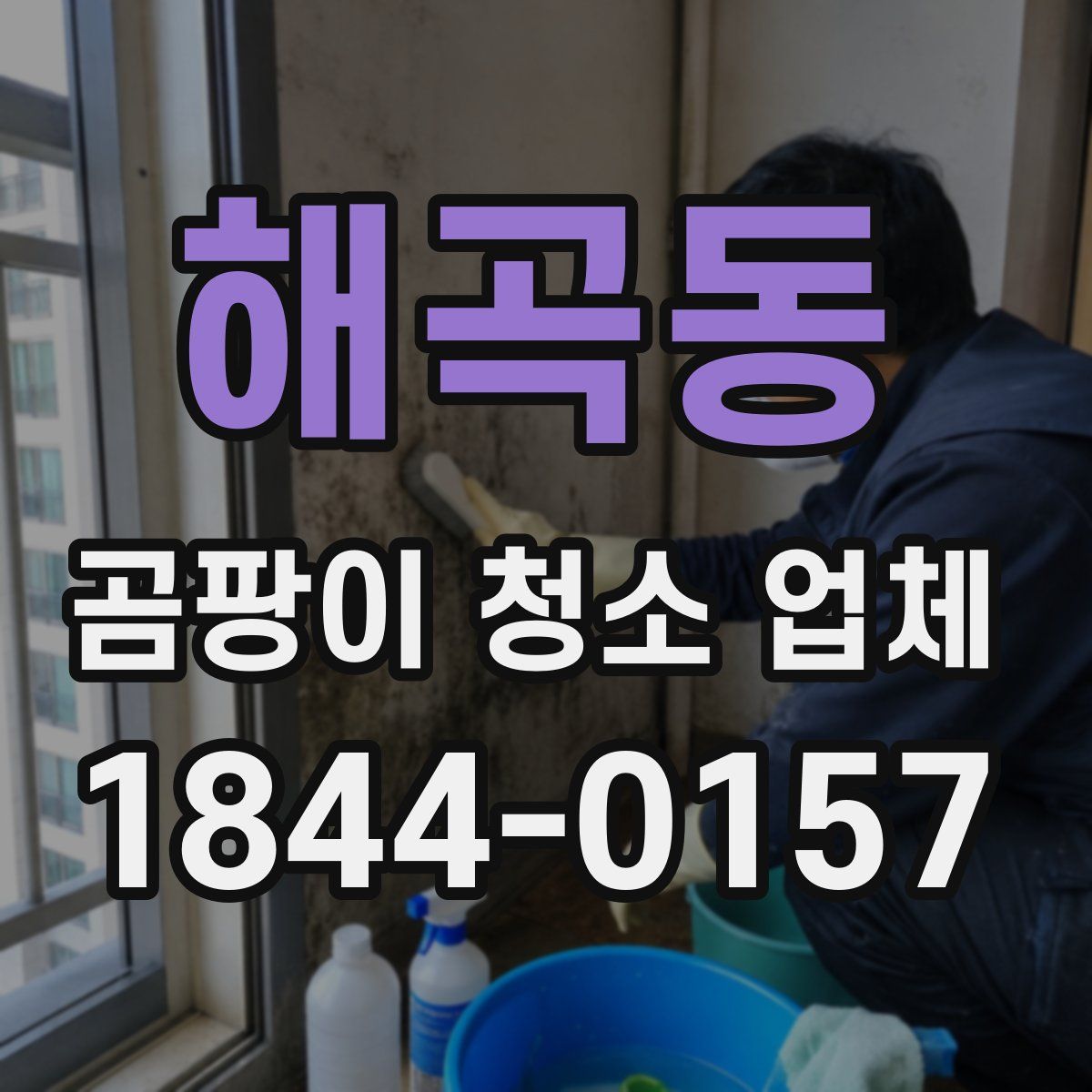 해곡동 곰팡이 청소 업체
