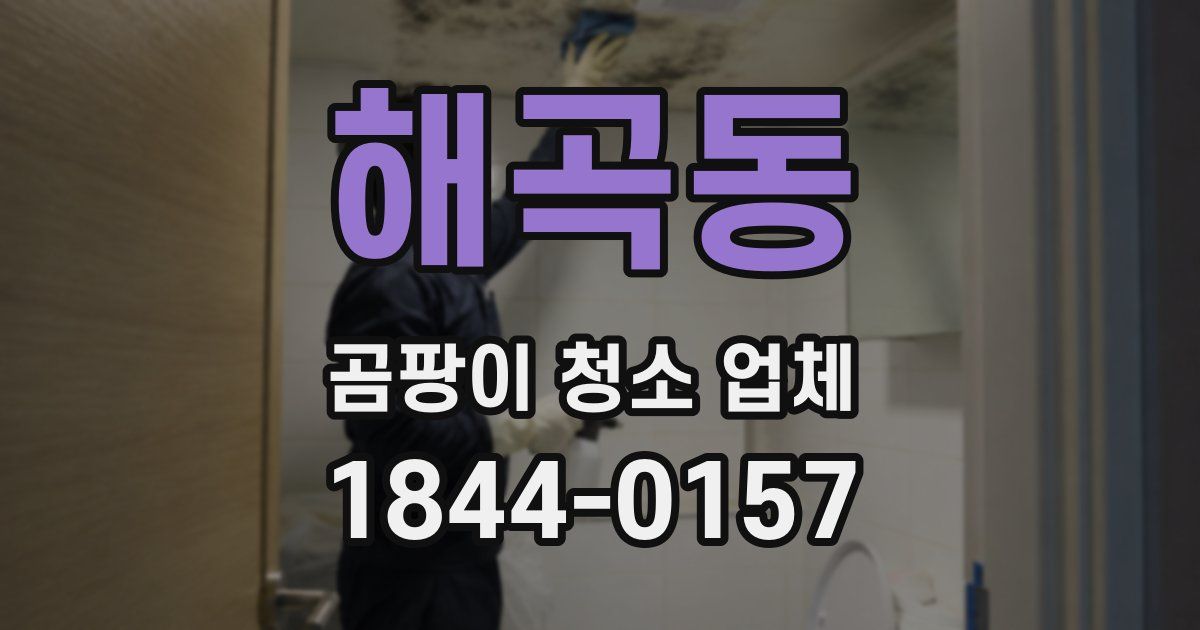 해곡동 곰팡이 청소 업체