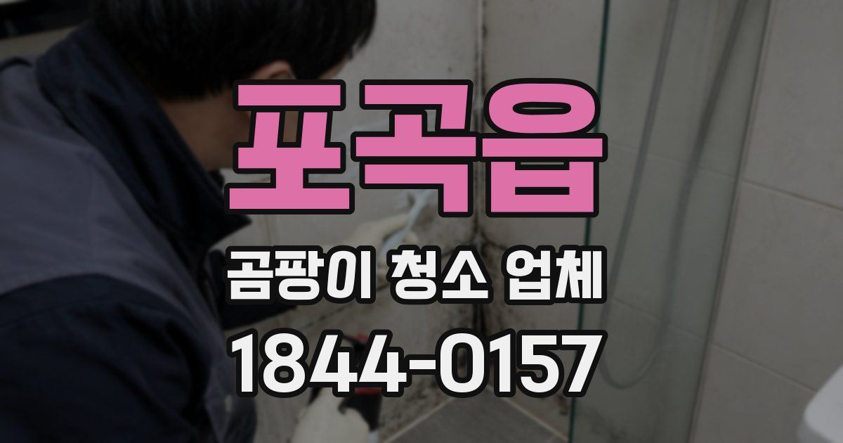 포곡읍 곰팡이 청소 업체