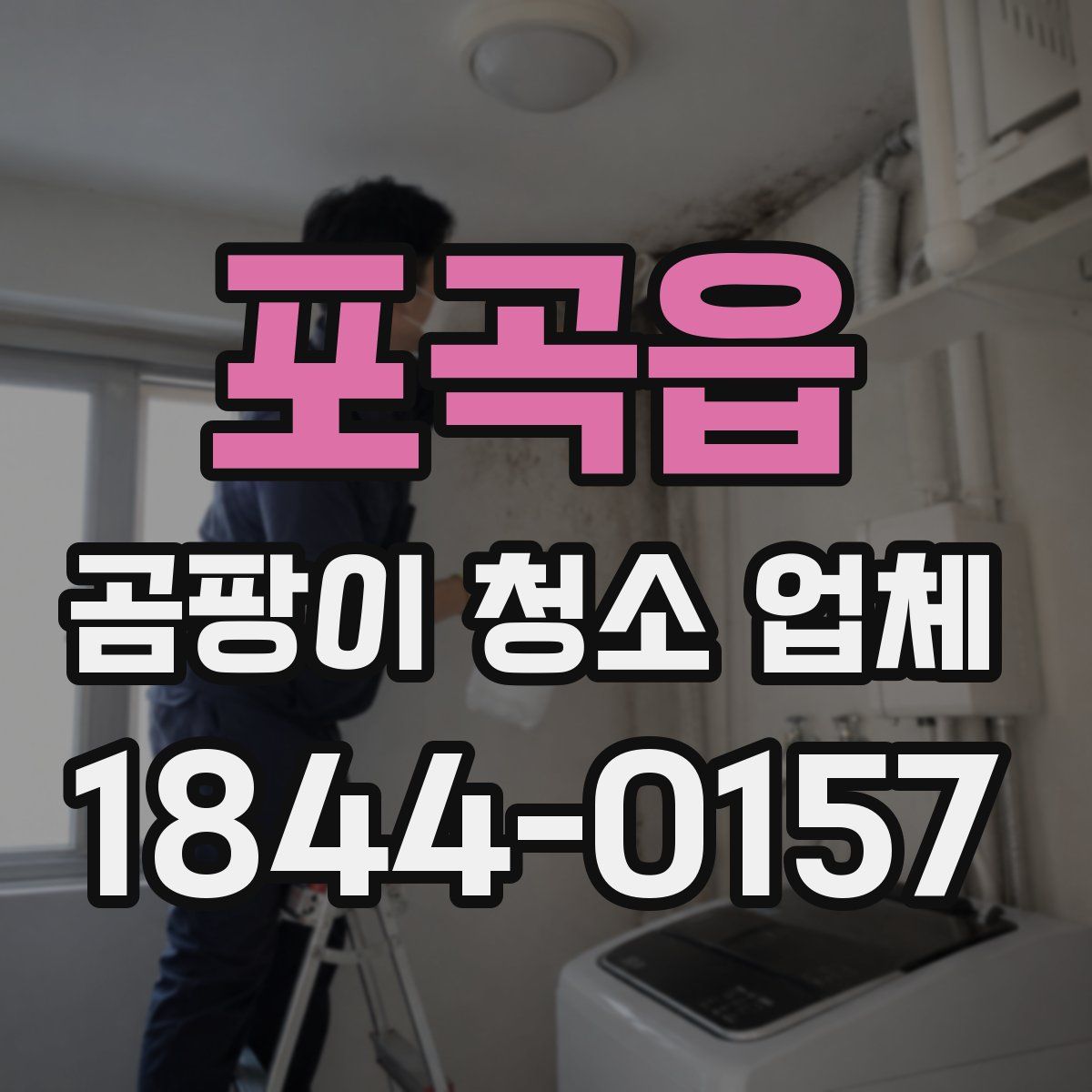 포곡읍 곰팡이 청소 업체